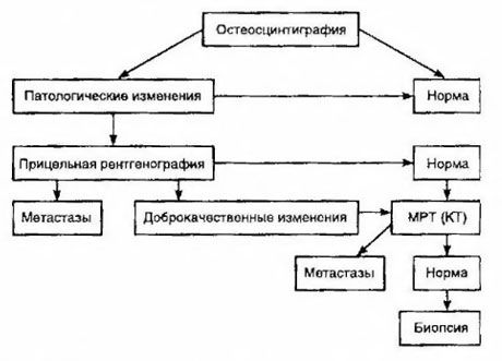 Tactics epäillylle luumetastaasille